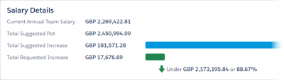 Screenshot: Example of Salary Details